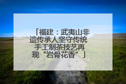 福建：武夷山非遗传承人坚守传统 手工制茶技艺再现“岩骨花香”