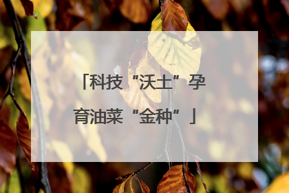 科技“沃土”孕育油菜“金种”