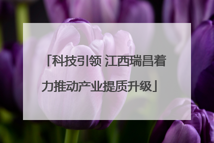 科技引领 江西瑞昌着力推动产业提质升级