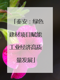 秦安：绿色建材项目赋能工业经济高质量发展