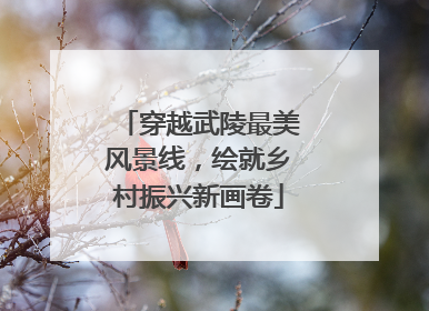穿越武陵最美风景线，绘就乡村振兴新画卷