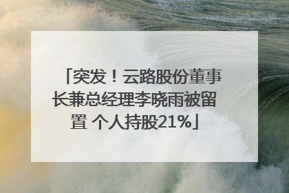 突发！云路股份董事长兼总经理李晓雨被留置 个人持股21%