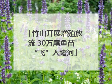 竹山开展增殖放流 30万尾鱼苗“飞”入堵河