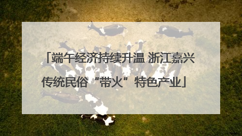 端午经济持续升温 浙江嘉兴传统民俗“带火”特色产业