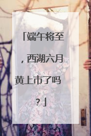 端午将至，西湖六月黄上市了吗？