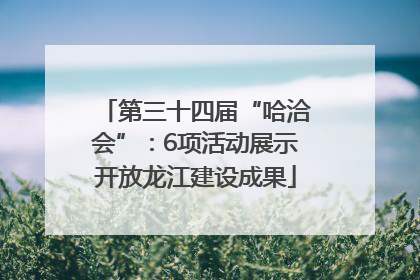 第三十四届“哈洽会”：6项活动展示开放龙江建设成果