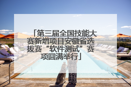 第三届全国技能大赛新增项目安徽省选拔赛“软件测试”赛项圆满举行