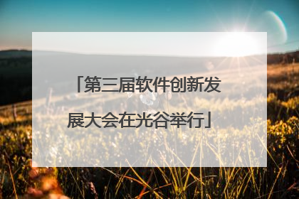 第三届软件创新发展大会在光谷举行