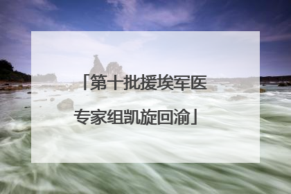 第十批援埃军医专家组凯旋回渝