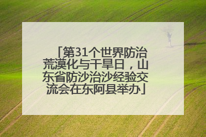 第31个世界防治荒漠化与干旱日，山东省防沙治沙经验交流会在东阿县举办