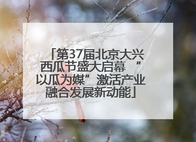 第37届北京大兴西瓜节盛大启幕 “以瓜为媒”激活产业融合发展新动能