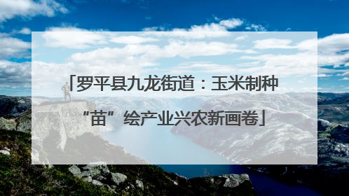 罗平县九龙街道：玉米制种“苗”绘产业兴农新画卷