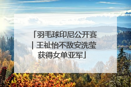 羽毛球印尼公开赛｜王祉怡不敌安洗莹 获得女单亚军