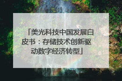 美光科技中国发展白皮书：存储技术创新驱动数字经济转型