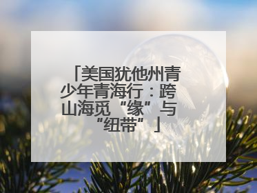 美国犹他州青少年青海行：跨山海觅“缘”与“纽带”