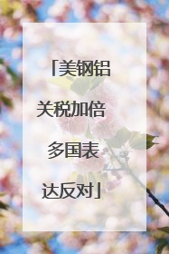 美钢铝关税加倍 多国表达反对
