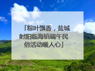 粽叶飘香，盐城射阳临海镇端午民俗活动暖人心