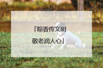 粽香传文明 敬老润人心