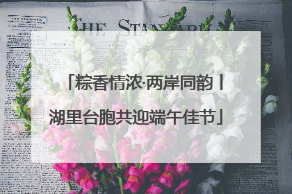 粽香情浓·两岸同韵丨湖里台胞共迎端午佳节