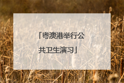 粤澳港举行公共卫生演习