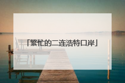 繁忙的二连浩特口岸