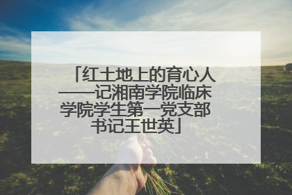 红土地上的育心人——记湘南学院临床学院学生第一党支部书记王世英