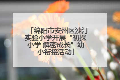绵阳市安州区沙汀实验小学开展“初探小学 解密成长”幼小衔接活动