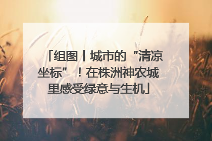 组图丨城市的“清凉坐标”！在株洲神农城里感受绿意与生机
