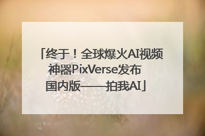 终于！全球爆火AI视频神器PixVerse发布国内版——拍我AI
