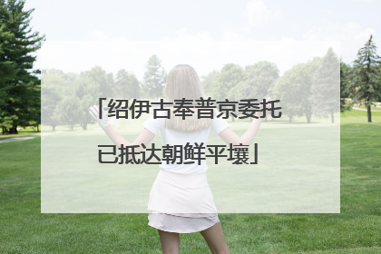 绍伊古奉普京委托已抵达朝鲜平壤