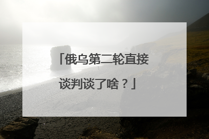 俄乌第二轮直接谈判谈了啥？