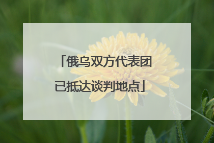 俄乌双方代表团已抵达谈判地点