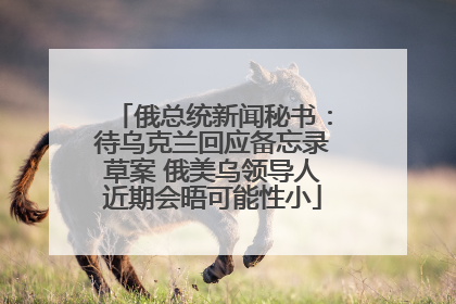 俄总统新闻秘书：待乌克兰回应备忘录草案 俄美乌领导人近期会晤可能性小