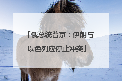 俄总统普京：伊朗与以色列应停止冲突