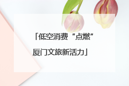 低空消费“点燃”厦门文旅新活力