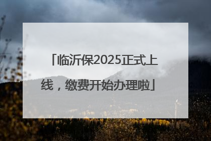 临沂保2025正式上线，缴费开始办理啦