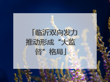 临沂双向发力推动形成“大监督”格局