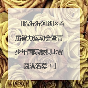 临沂沂河新区首届智力运动会暨青少年国际象棋比赛圆满落幕！
