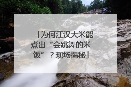 为何江汉大米能煮出“会跳舞的米饭”？现场揭秘