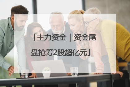 主力资金｜资金尾盘抢筹2股超亿元