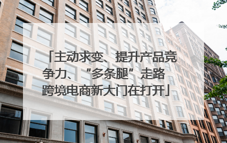 主动求变、提升产品竞争力、“多条腿”走路 跨境电商新大门在打开