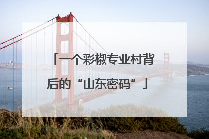 一个彩椒专业村背后的“山东密码”