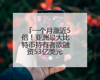 一个月涨近5倍！亚洲最大比特币持有者欲融资53亿美元 豪言要囤积21万枚比特币