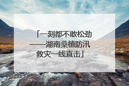 一刻都不敢松劲——湖南桑植防汛救灾一线直击