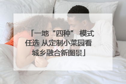 一地“四种” 模式任选 从定制小菜园看城乡融合新图景