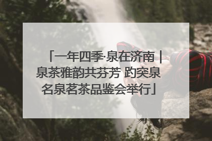 一年四季·泉在济南｜泉茶雅韵共芬芳 趵突泉名泉茗茶品鉴会举行