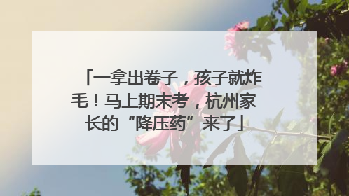 一拿出卷子，孩子就炸毛！马上期末考，杭州家长的“降压药”来了