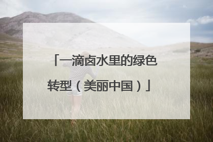一滴卤水里的绿色转型（美丽中国）