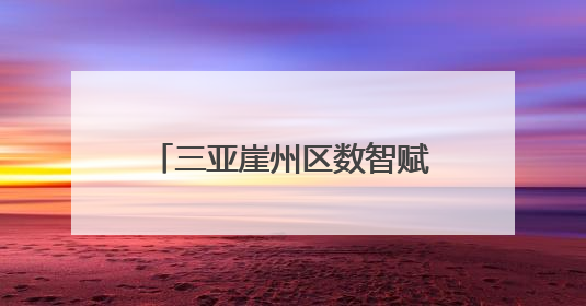 三亚崖州区数智赋能管住小微权力 “机器管公章”，构筑便民服务新生态