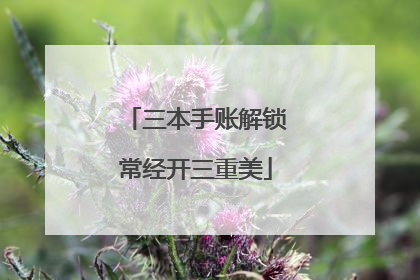三本手账解锁常经开三重美